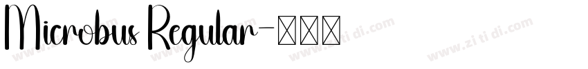 Microbus Regular字体转换